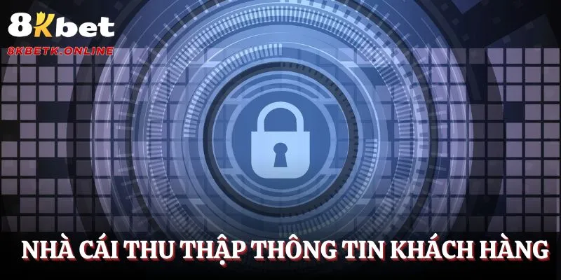 Nhà cái thu thập thông tin cá nhân của cược thủ